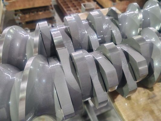 Berstoff Doppelschneckenextruder Schneckensegmente und Zylinder