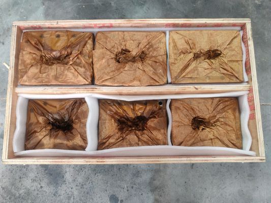 Extruder-Schneckenrohr für Kunststoffrecyclingmaschine