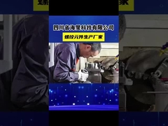 W6Mo5Cr4V2 Hochwertige Schraubenelemente für Zweischraubextruder