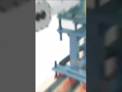 hochwertige Zwillingsschraubelement Schraubseiten-Zuführer-Fasswelle für Mini-Kunststoff