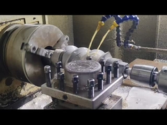 Berstoff Doppelschneckenextruder Schneckensegmente und Zylinder